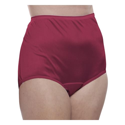 Image of Teri Women's 331 Plain Jane Classic Nylon Silky-Smooth Lightweight Breathable Full Coverage Brief Panty - 4 Pack