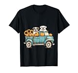Fall Harvest English Bulldogs Pumpkins Cute Dogs