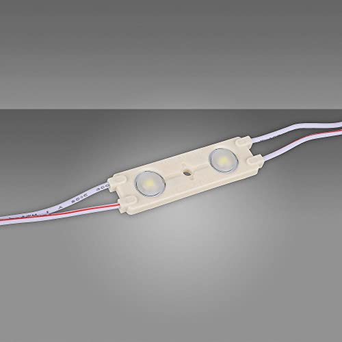 20x 2er módulos de potencia 0.72W 6500K 12V LED