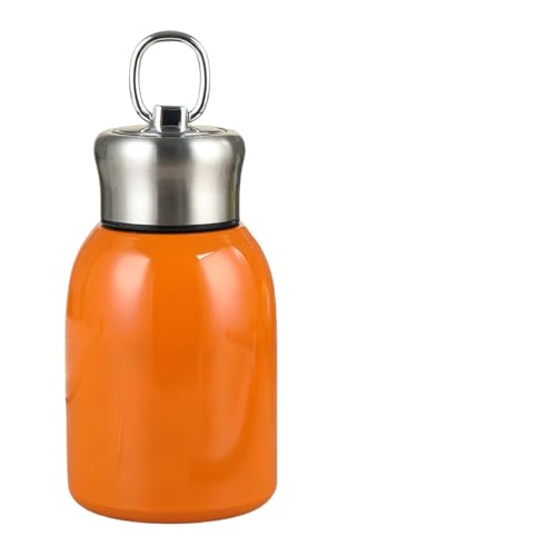 IWEJ ~j 304 XeX ^fM ۉۗ  RȂ yʏ^ jp AEghA/p  (IW)