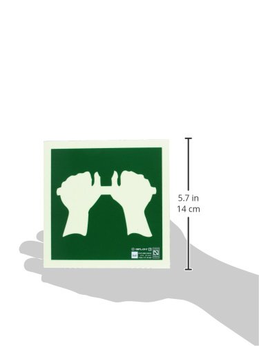 Astlight Notausgangs-Schild SAL5035.GFI – Selbstleuchtend, 210x210 Mm, Mehrfarbig