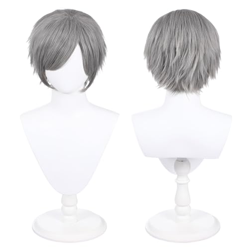 Peluca larga de 30cm, peluca universal para disfraz de anime y cosplay, perfecta para fiestas, uso diario, festivales y Halloween (Gris plateado)