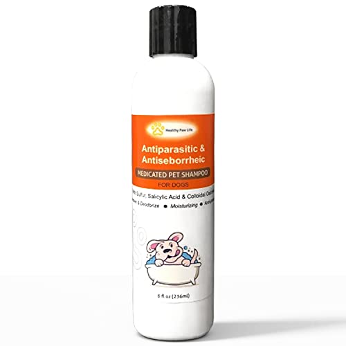 List of Top Ten Best Ringworm Shampoo For Dogs Top Picks 2023 Reviews
