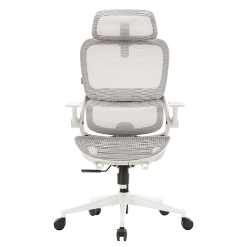 SIHOO Silla de oficina ergonómica