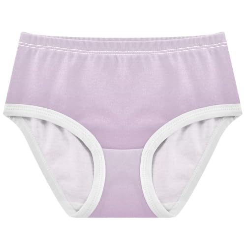 Joisal Magnolia Clematis Gradient Ombre Girls Underwear Toddlers 2t Cotton Little Girl Panties Artistic Briefs Undies Kids