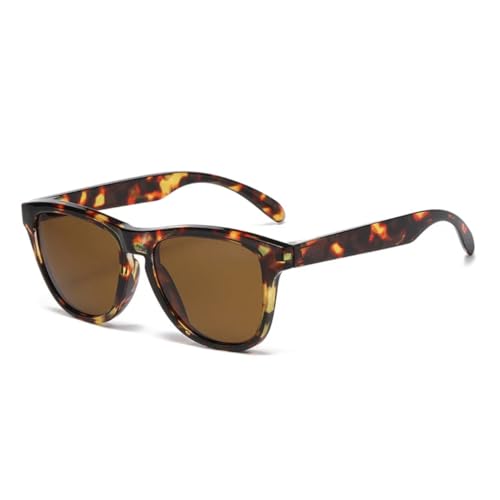 Lunettes de soleil polarisées rétro homme de qualité supérieure aux verres dégradés