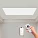 Hocosyme Infrarotheizung Deckenmontage 1000 Watt mit Smart Steuerung, Energiesparende Infrarot Wandheizung, Elektroheizung mit Uberhitzungsschutz, WLAN App-Steuerung mit Fernbedienung.