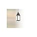 Troy 28955655 One Light Aged Pewter Hanging Lantern