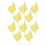 Mini drapeau portable : ce petit drapeau vierge avec sa hampe en bois est pratique pour les élèves, facile à transporter pour les activités et les jeux