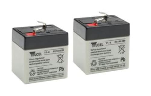 Batterie 6.0 Volts 1.0Ah Plomb étanche haute performance lot de 2