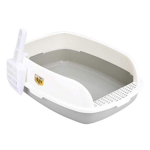 Fonowx LpgC ^  8cmtFXt ̂y_5cm O\ |₷ p ^ɓKp, O[