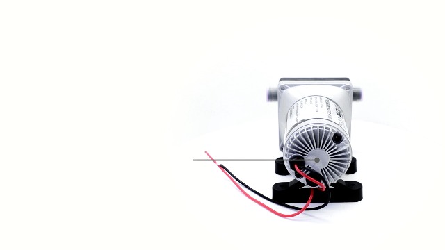 Amazon.com: 4008-101-A65/E65 RV Water Pump with Strainer,12V 55