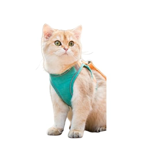 キン・フクロウ ペット用ハーネス&リードセット, 通気性, 夜間反射素材, マジックテープ式, 犬猫用 (グリーン, XXXL)