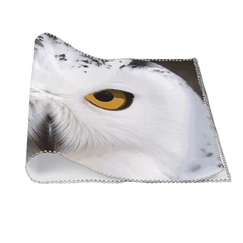 Sets de table anti-tache hibou enneigé protection table de cuisine - 4