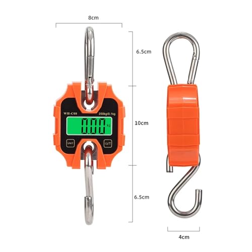Balance numérique de haute précision 250 kg portable suspendue électronique