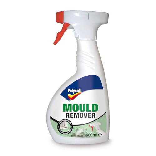 How To Remove Mold From Painted Walls UK Quick Solutions