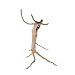 emours Natural Driftwood Vine Branches Reptiles Aquarium Decoration Assorted Sizes,Small,4 Pieces