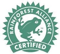 Serenity | White, Cream Fresh Flower Arrangement with Vase | Arabella Bouquets | Flowers for Delivery, Sympathy