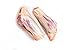 New Zealand Spring Lamb, Fresh New Zealand Lamb Shank, 1.5 lb