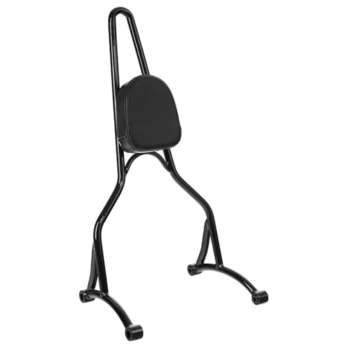 Coussin de Siège Moto pour Voyager en Duo avec Votre Sportster XL