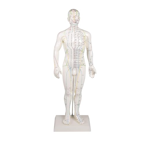 Statue acupuncture homme 50cm idéale pour décorer cabinet zen
