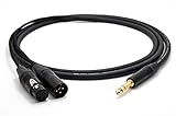 Stecker B: Neutrik Gold XLR female (NC3 FXX-B) / XLR male (NC3 MXX-B)