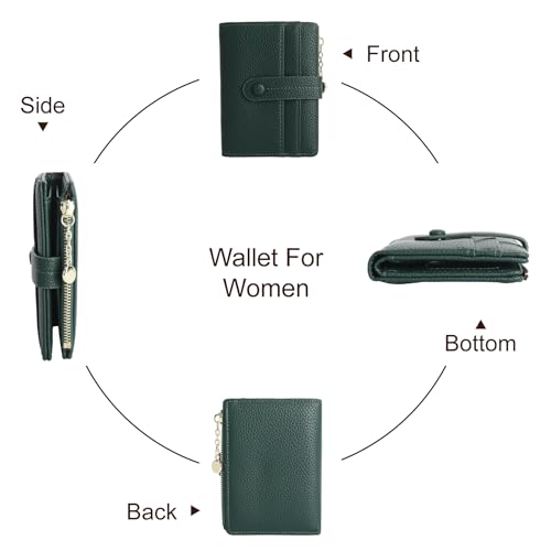 Variant 5