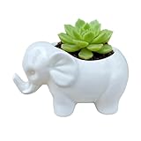 SJBAG Cute Animal Elephant Shaped Ceramic Succulent Cactus Air Plant Flower Pots Planters-Plant Not Included (Small White)