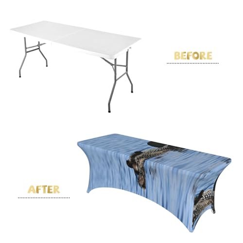 Nappe extensible élasthanne oiseaux 1,8m pour décorer un repas de mariage