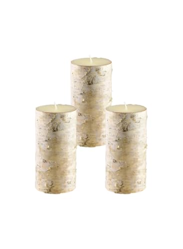 Serene Spaces Living Birch Bark Candle, Set of...