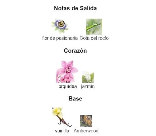 Perfume Atheeri Eau de Parfum 100 ml, Perfume Árabe para Mujer de Larga Duración, Incluye Atomizador Recargable 5ML, Fragancia Floral y Amaderada con Notas de Bergamota, Jazmín y Vainilla (Atheeri) - imagen 3