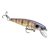 Strike King Bitsy Jerkbait Fishing Lure, Slow Sinking Minnow Profile Hard Bait, 1/8-Ounce, Size 10 Treble Hooks