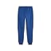 Puma Mens BMW MMS MT7 Sweat Pants, Cc, Pro Blue-M Color, Large