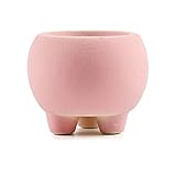Macetero de cerámica con patas – Maceta decorativa de mesa con orificio de drenaje, regalo para decoración del hogar, color rosa
