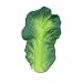 Oli & Carol Kendall The Kale