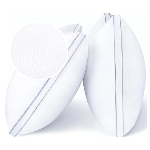 viewstar Standard Pillows for Sleeping, Bed Pillows 2 Pack Hotel Quality Pillow, Down Alternative Hypoallergenic Pillows for Side and Back Sleepers, Soft and Supportive Gusseted Pillow (20x26)