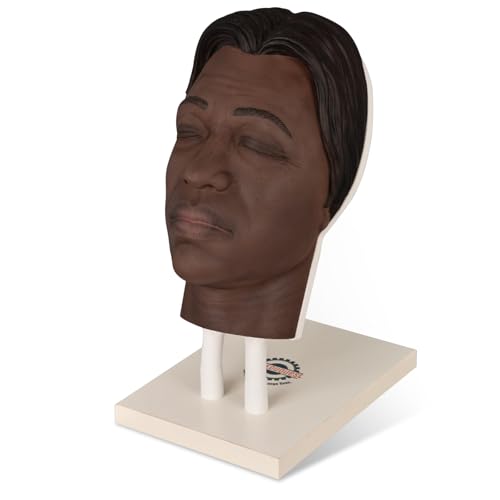 Image of Injection Face Training Model for Facial Injection Practice, Silicone Mannequin Face for Micro-Plastic Teaching, Esthetician's Class Injection Training to Medical Student - Kaya Model