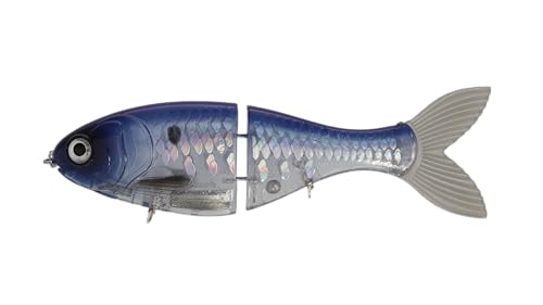 BUCCA Brand 6C` gbNVbh / 1-5/8IX / 1pbN/vu[