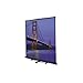 Model C Matte White Portable Projection Screen Viewing Area: 9