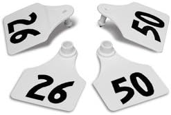 Allflex Global Large Double Female Numbered Tags (with Studs) - White Numbers 26-50 - C23286(B)N