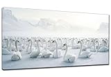 Large Diamond Painting Kits for Adults 16x36in, DIY Square Full Drill Gem Art Swan Diamond Painting, Animal Diamond Art Painting Crystal Rhinestone Embroidery Arts and Crafts for Wall Decor Gifts M-1
