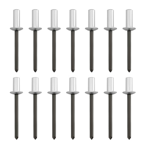 OTOTEC 100 remaches ciegos de aluminio de extremo cerrado con mandril de acero para reparar barcos, aviones, maquinaria y muebles, 100 unidades