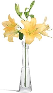 ComSaf 24CM Glass Flower Vase, Clear Decorative Lily Bud Vase Modern Tall Posy Bouquet Crystal Centerpiece for Home, Wedding, Christmas Decor