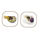 Décors d'aquarium : décoration de style méditerranéen.