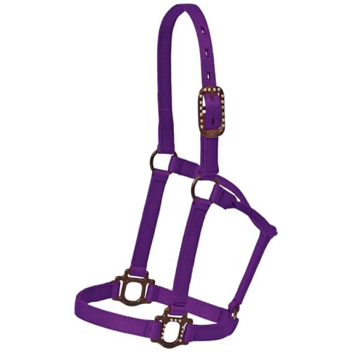 Cabestro Mustang para caballos nylon resistente ajustable equitación 5