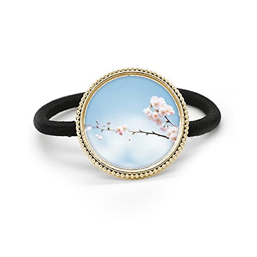 Accesorio de pelo plateado para oficina y eventos de tarde