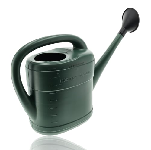 Regadera de jardín de 10 litros, regadera verde con cabezal rociador, regadera de plástico para plantas y flores - Interior y exterior