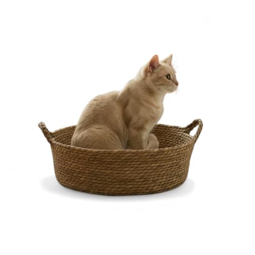 ペットベッド 犬 猫 シーグラス 手編み 天然素材 ナチュラルインテリア クッション付き 洗えるクッション 洗いOK 通気性 2サイズ おしゃれ かわいい 軽量 持ち運び便利 リラックスタイム 癒し空間 北欧風 ナチュラルデザイン SC-617 (L)