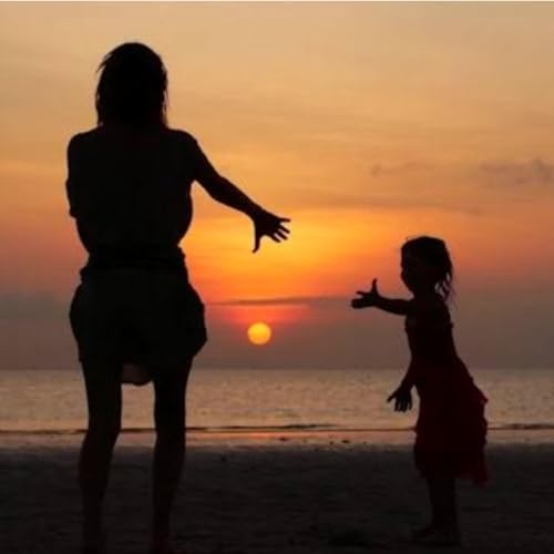 The Shadows that hold (climax) cover art