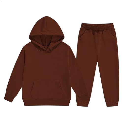 Toddler Kids Cute Sweatsuit Boys and Girls 2 Piece Tracksuit Hooded Sweatshirts Joggers Sweatpants Fall Outfits Sets2